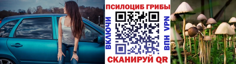 Галлюциногенные грибы Magic Shrooms  Боровичи 