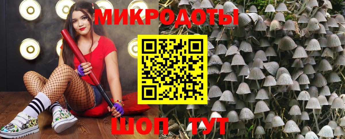 цены наркотик  Вход с VPN  Боровичи  Псилоцибиновые грибы GOLDEN TEACHER 