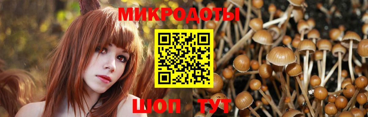 Галлюциногенные грибы Magic Shrooms Боровичи